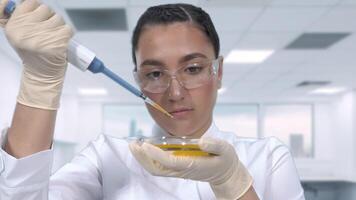 Young female laboratory technician in a white lab coat with dark hair examines a yellow liquid sample using a micropipette and a petri dish sitting at a table in the newest medical laboratory. video