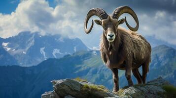 AI generated ibex high quality image photo