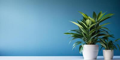 AI generated Potted plant on blue background with copy space for your text. photo