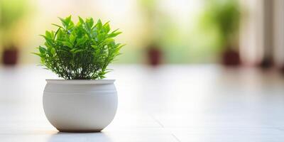 AI generated A potted plant with lush green leaves sits on a white floor against a blurred background photo