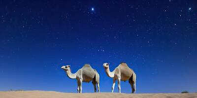 ai generado camellos en el Desierto debajo el estrellado cielo. foto