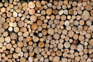 Close up wooden stacked sawn logs for background or abstraction photo