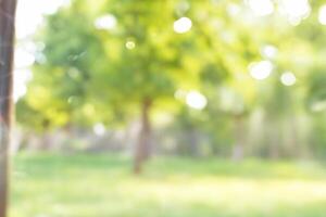 Blurred park, vibrant green natural background photo