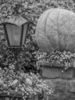 calabazas en el alemán Westfalia foto