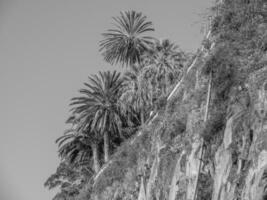 el isla de madeira en Portugal foto