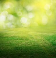 Summer field background photo