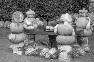 calabazas en el alemán Westfalia foto