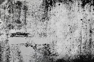 resumen grunge textura modelo de negro pintar en blanco pared foto