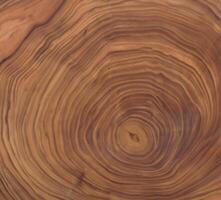 brown background and texture Cross section of tree trunk showing growth rings photo