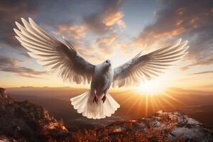 AI generated white dove flies against sunset background photo