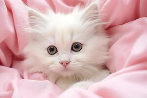 AI generated portrait of a cute white fluffy kitten in a pink blanket photo