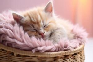 AI generated closeup cute ginger little cat sleeping on a wicker basket on a blurred background photo