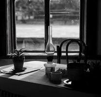 old oil lamp in a room with a plant photo