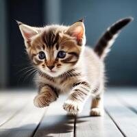 AI generated fluffy kitten at home. Generative AI photo
