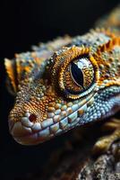 AI generated Vertical macro portrait focused on the large eye of a yellow gecko sitting on the bark of a tree with against a dark background photo