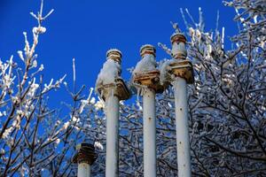 The fuel inlet pipelines at the gas station froze. photo