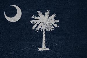 Flag of South Carolina USA state on a textured background. Concept collage. photo