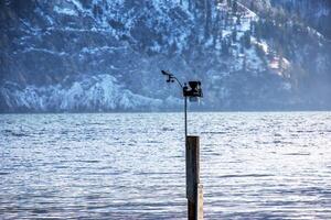 Lake Traunsee, Austria - 01.14.2024 Small weather station with cup anemometer and weathervane photo