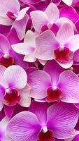 AI generated Vertical layout for Valentine's Day. Orchids background. Generative AI. photo