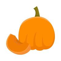 pumpkin halloween illustration vector