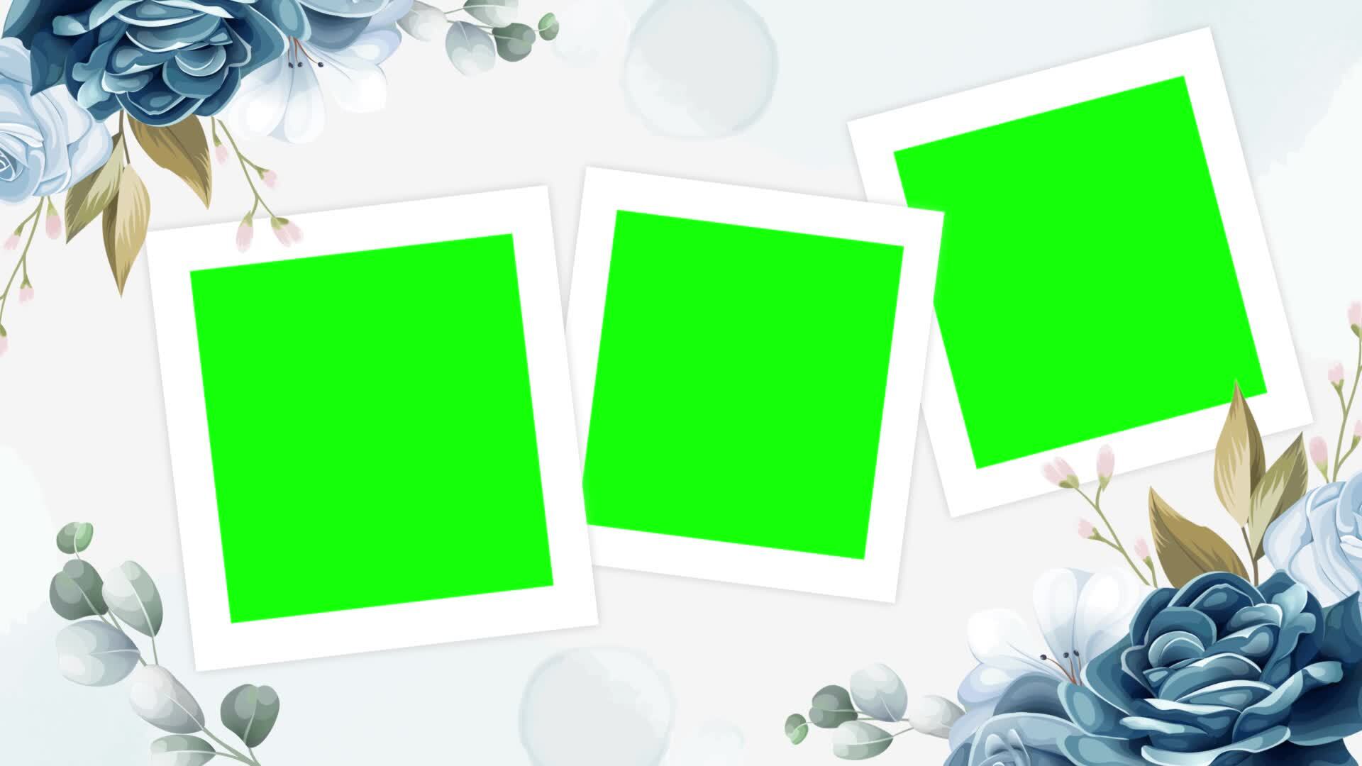 three blank green frames with flowers and leaves 38005554 Stock Video