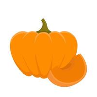 pumpkin halloween illustration vector