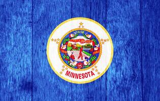 bandera de Minnesota estado Estados Unidos en un texturizado antecedentes. concepto collage. foto