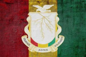 bandera y Saco de brazos de república de Guinea en un texturizado antecedentes. concepto collage. foto