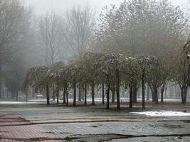 niebla en un ciudad parque. triste otoño paisaje. niebla medio un cambio en clima. foto