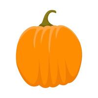 pumpkin halloween illustration vector