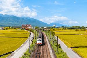 train on the field in yuli, hualien, taiwan photo