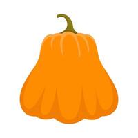 pumpkin halloween illustration vector