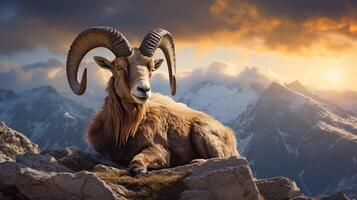 AI generated ibex high quality image photo