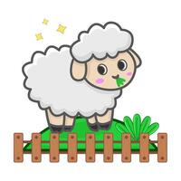 sheep in farm illustration vector