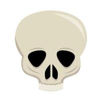 skull human illustration vector