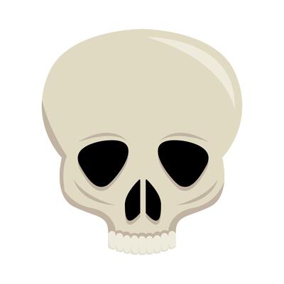 skull human illustration