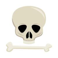 skull with bone illustration vector