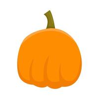 pumpkin halloween illustration vector