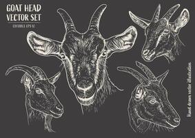 Goat head vector set. Hand drawn illustration of goat head.