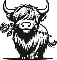 Highland Cow Holding Rose vector