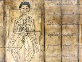 BANGKOK, THAILAND  NOVEMBER 07, 2023 Thai medical diagram showing the pressure points on a Human body in Ancient Book at Thai massage museum or Nuad Thai museum. photo