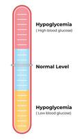 Hypoglycemia Normal Level Science Design Vector Illustration