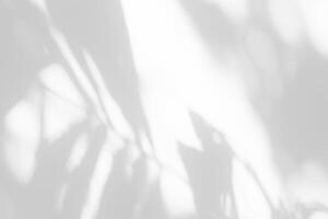 Leaves Shadow on White Concrete Wall Texture Background, Suitable for Overlay, Product Presentation, Backdrop and Mockup. photo