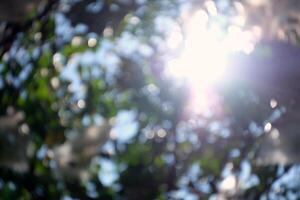 Blurred Sunlight and Beams with Bokeh Background. photo