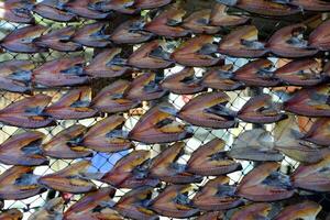 Salting Fish preservation by drying at Fisherman Village. photo