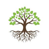 Tree with roots vector illustration