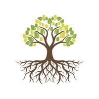 Tree with roots vector illustration