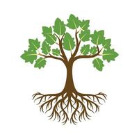 árbol con raíces vector ilustración