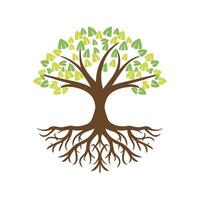 Tree with roots vector illustration