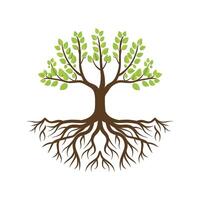 Tree with roots vector illustration